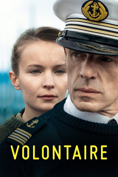 gönüllü poster