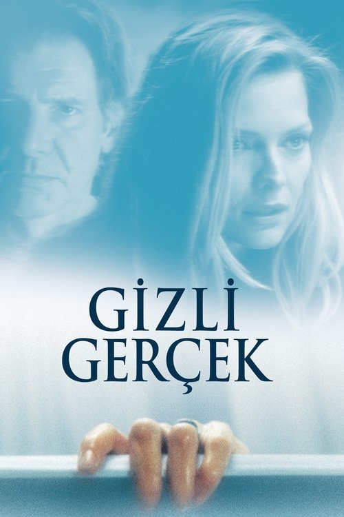 gizli gerçek poster