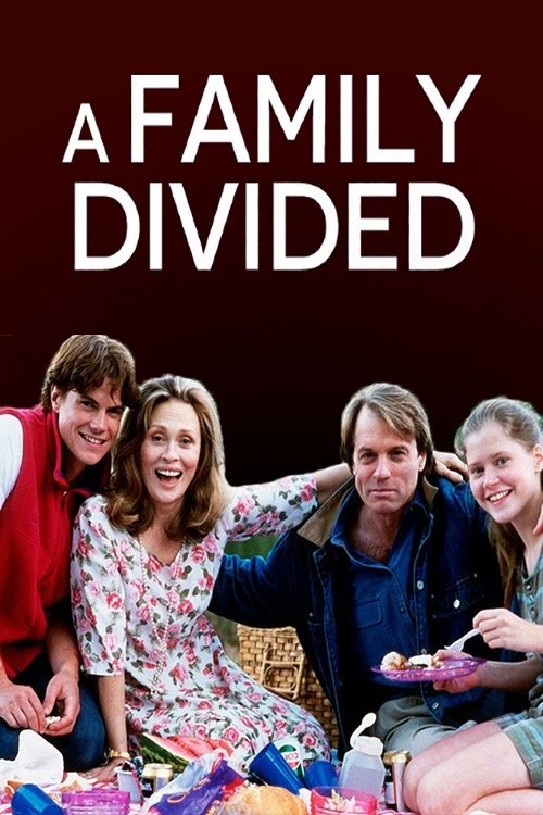 a family divided poster
