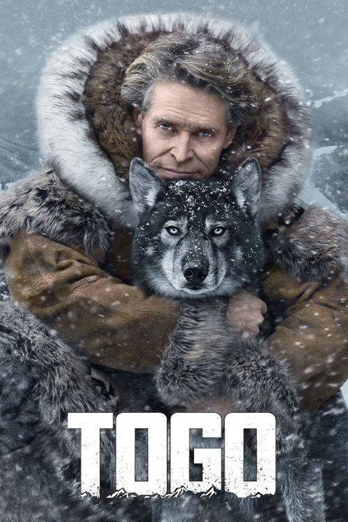 togo poster