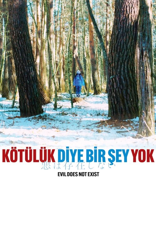 kötülük diye bir şey yok poster