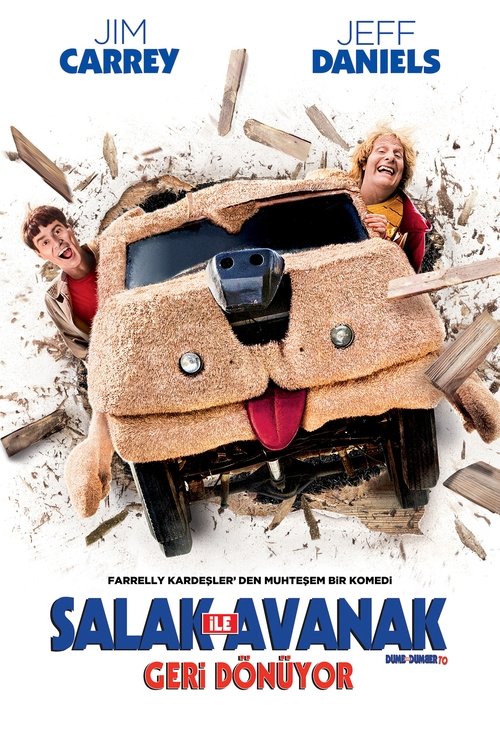 salak ile avanak geri dönüyor poster