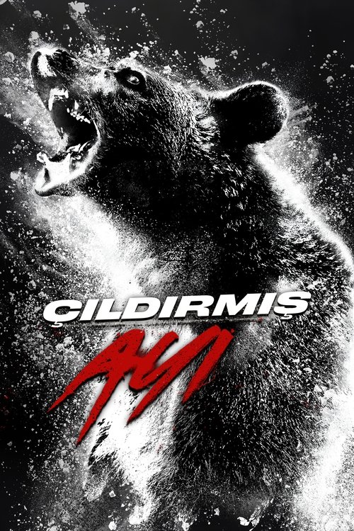 çıldırmış ayı poster