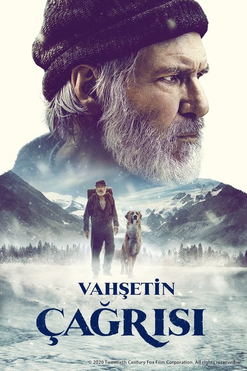 vahşetin çağrısı poster