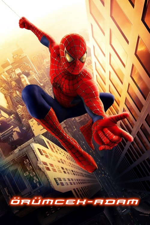 örümcek adam poster