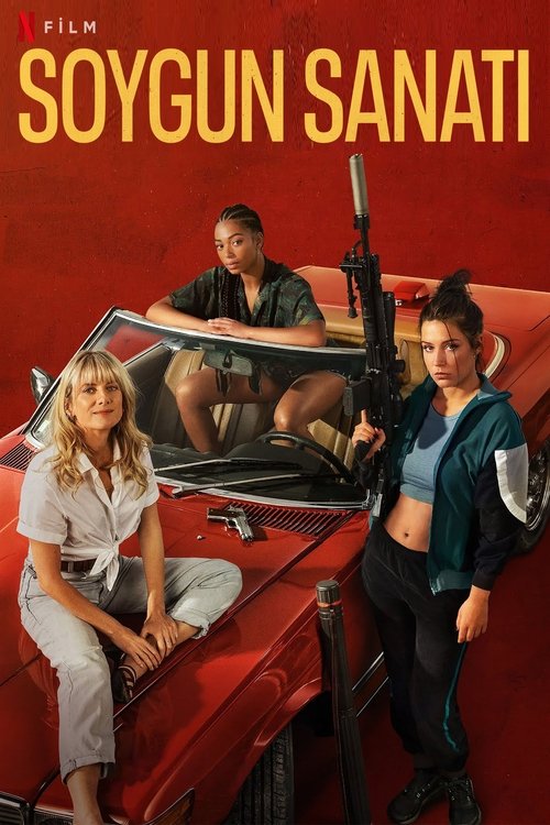 soygun sanatı poster
