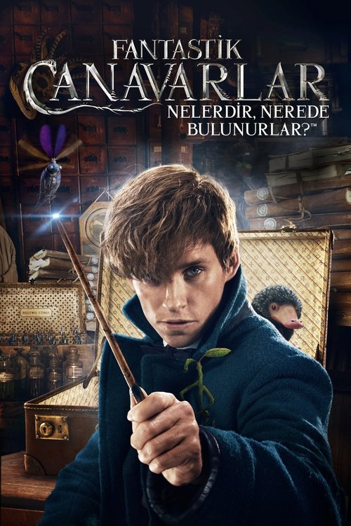 fantastik canavarlar nelerdir, nerede bulunurlar? poster