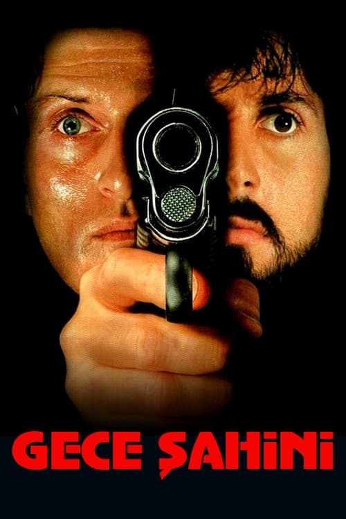 gece şahini poster