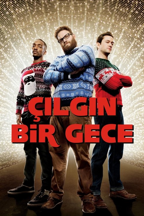 çılgın bir gece poster