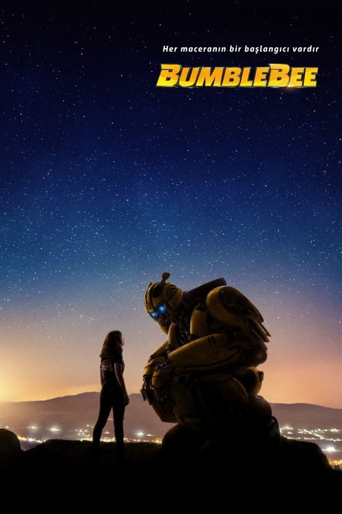 bumblebee poster