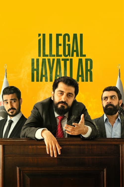 i̇llegal hayatlar poster