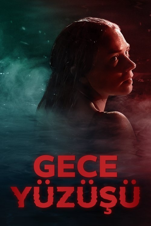 gece yüzüşü poster