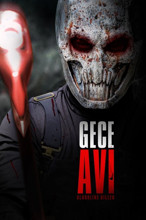 gece avı poster