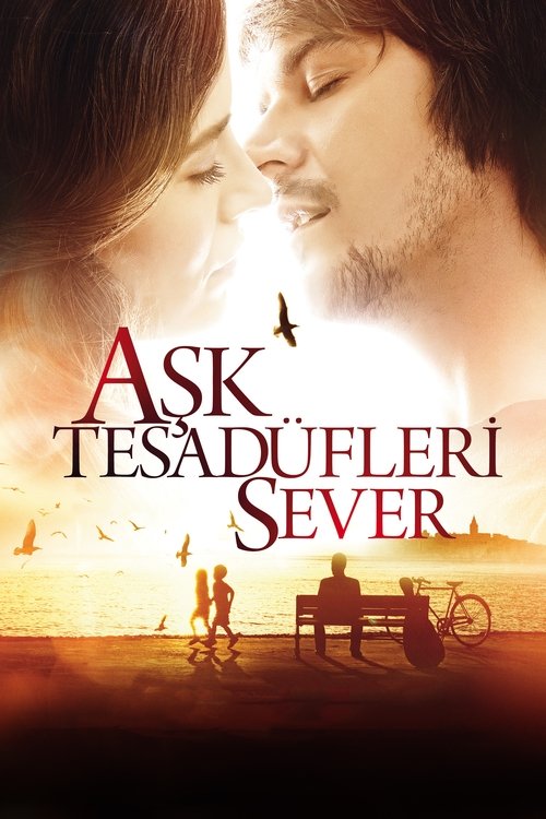 aşk tesadüfleri sever poster