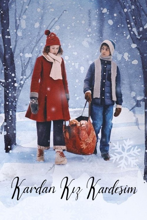 kardan kız kardeşim poster