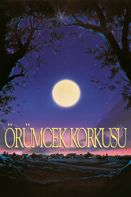 örümcek korkusu poster
