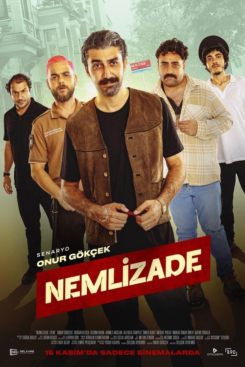 nemlizade poster