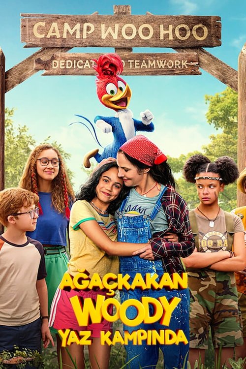 ağaçkakan woody yaz kampında poster