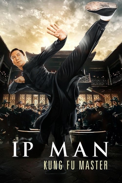 ip man: kung fu ustası poster