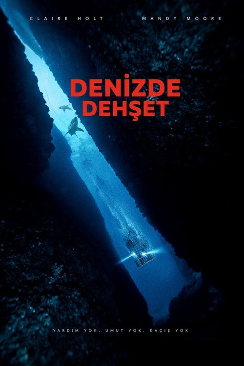 denizde dehşet poster