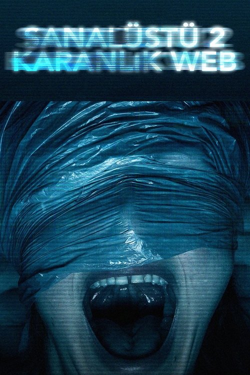 sanal üstü 2: karanlık web poster