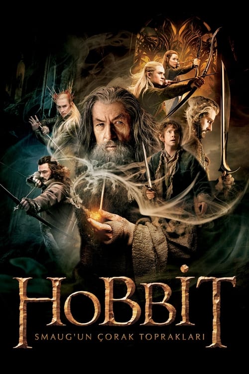 hobbit: smaug'un çorak toprakları poster