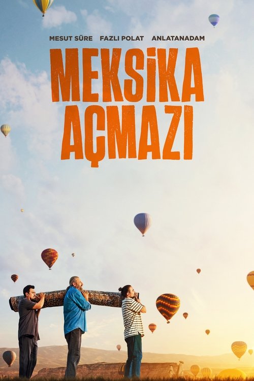 meksika açmazı poster
