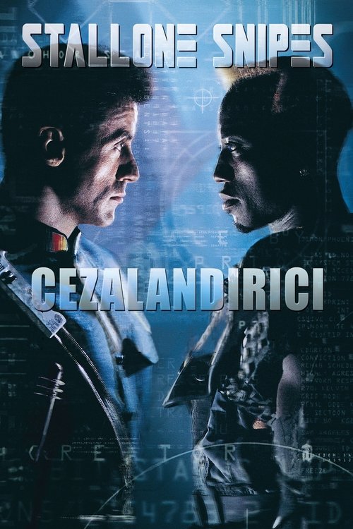 cezalandırıcı poster