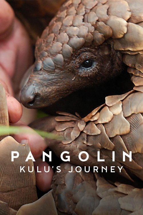 pangolin: kulu'nun yolculuğu poster