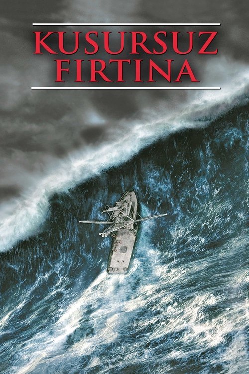 kusursuz fırtına poster