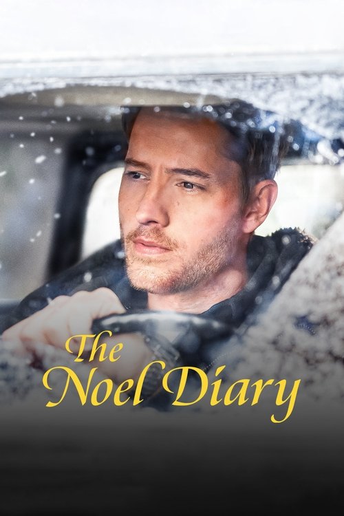 noel günlüğü poster