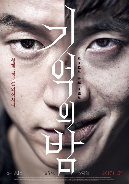 기억의 밤 poster