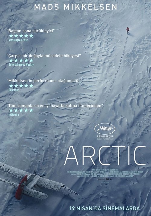 arctic poster
