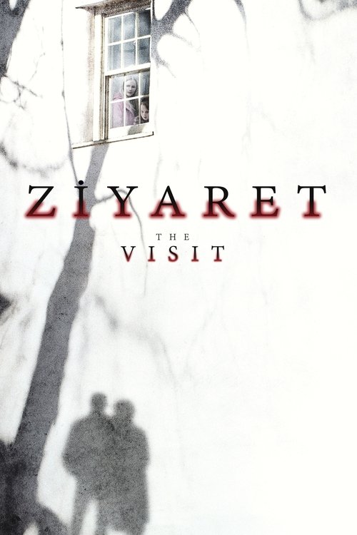 ziyaret poster