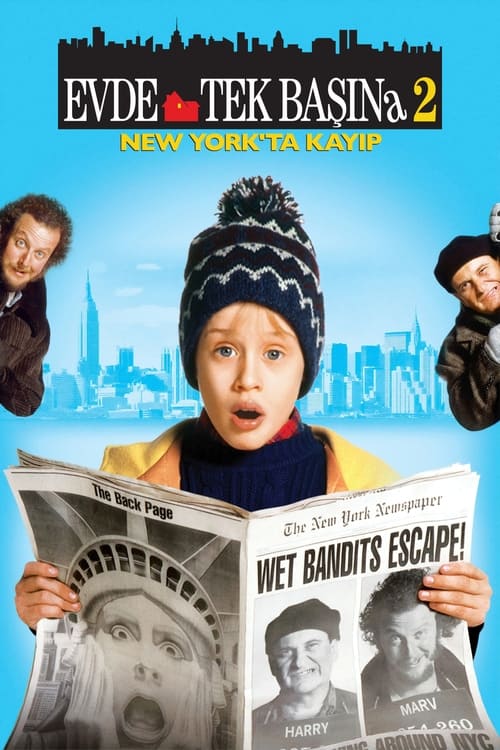 evde tek başına 2: new york'ta kayıp poster