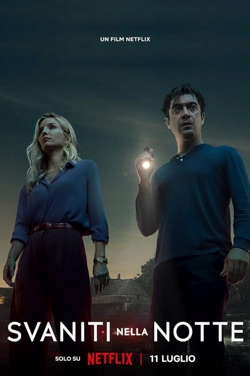 bir gece ansızın poster