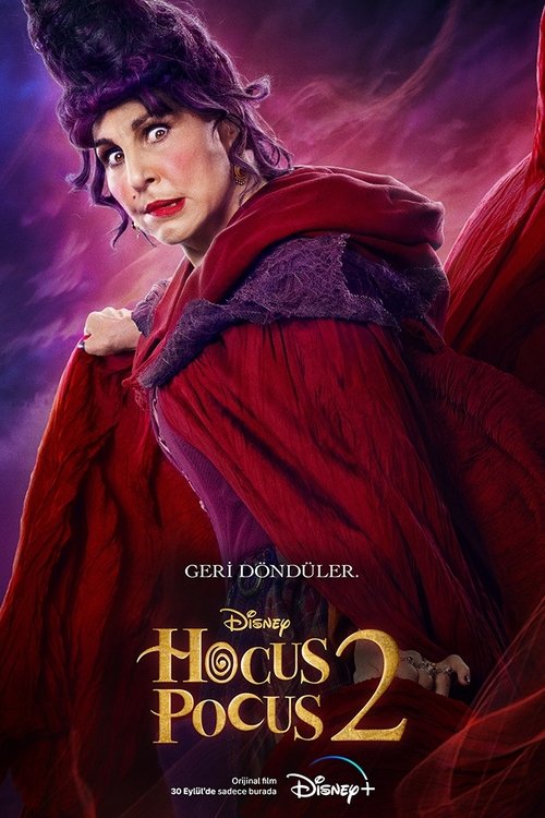 hocus pocus 2 poster