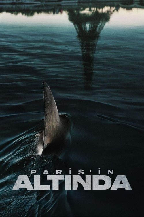 paris'in altında poster