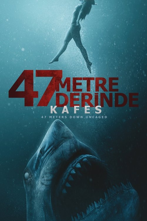 47 metre derinde: kafes poster