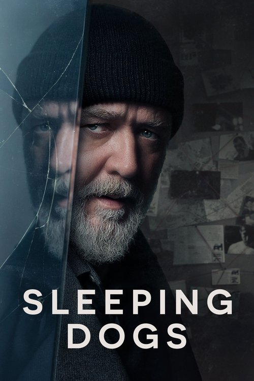 sleeping dogs poster