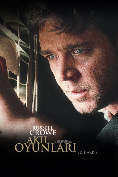akıl oyunları poster