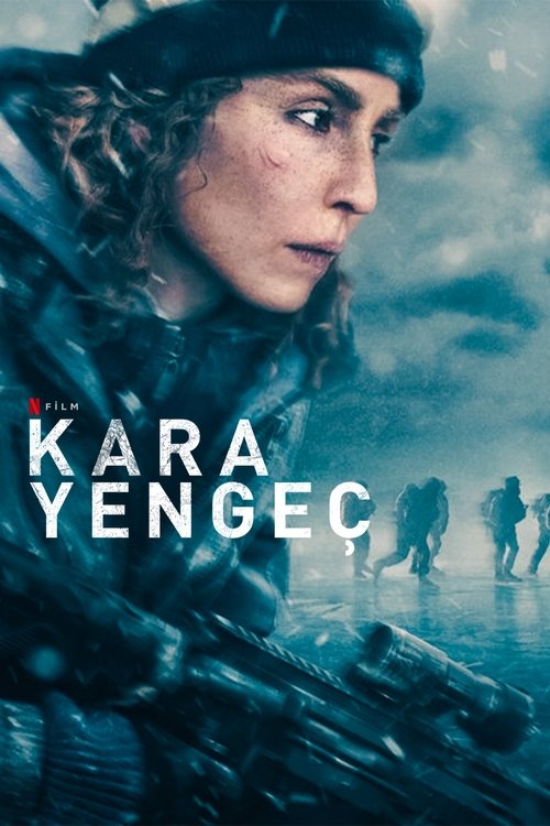 kara yengeç poster