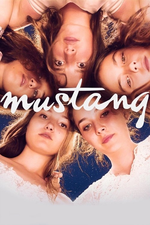 mustang poster