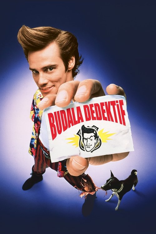 budala dedektif poster