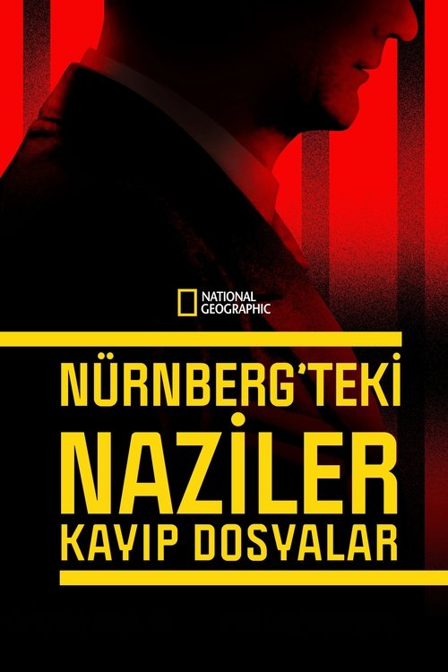 nürnberg'teki naziler: kayıp dosyalar poster