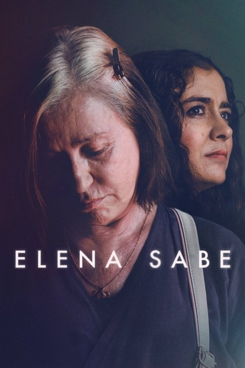 elena biliyor poster