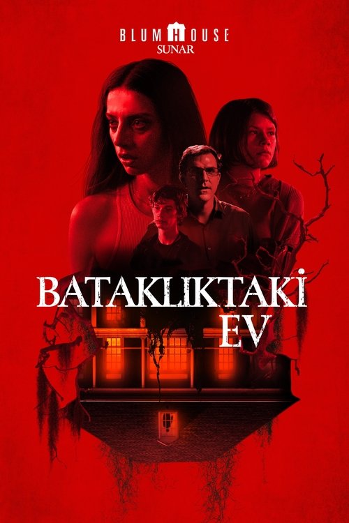 bataklıktaki ev poster