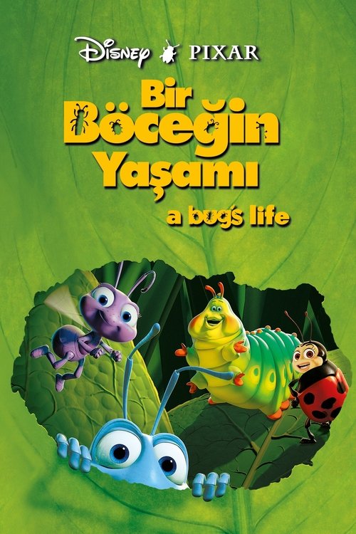 bir böceğin yaşamı poster