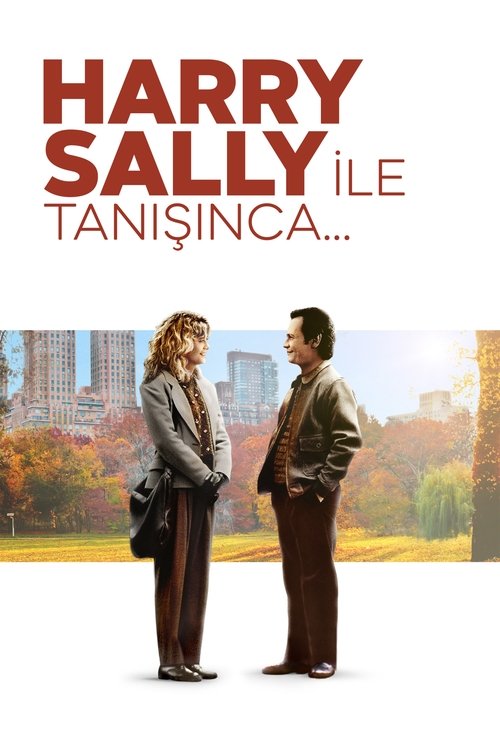 harry sally ile tanışınca poster
