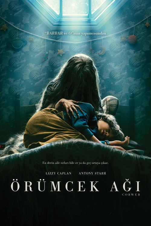 örümcek ağı poster